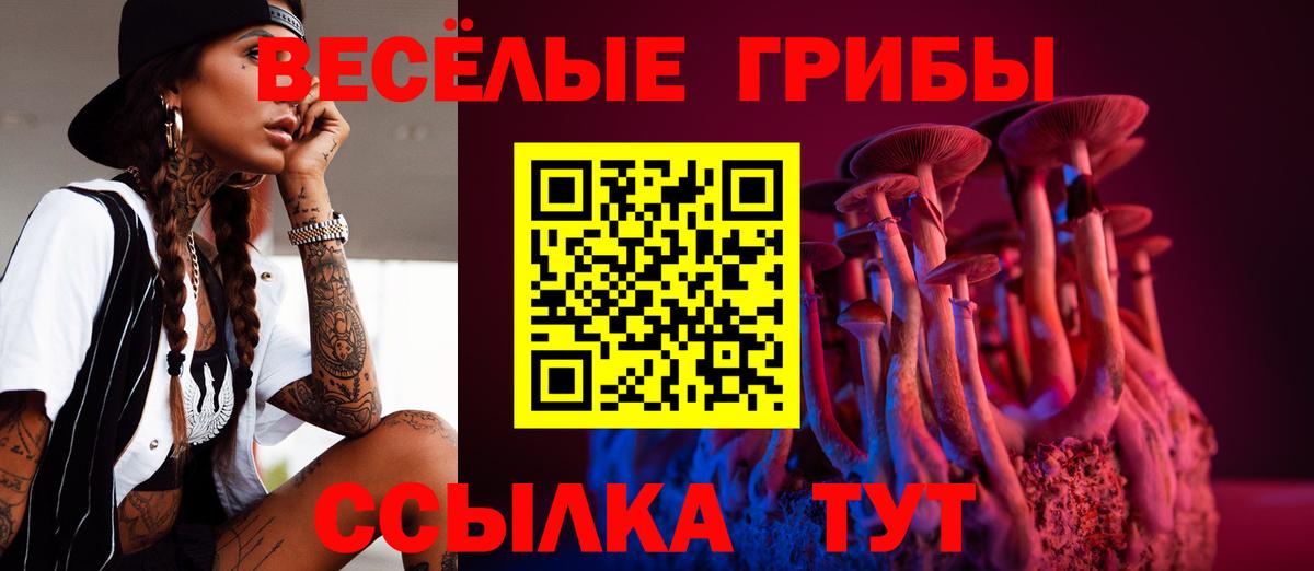 Галлюциногенные грибы прущие грибы  Вход с VPN  купить наркотики цена  Галлюциногенные грибы мухоморы  Одинцово 